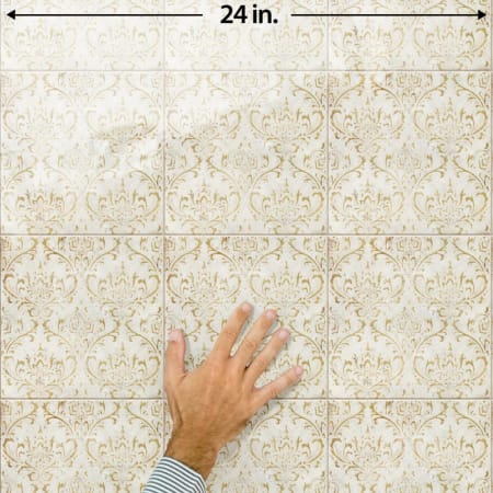 Alternate Image