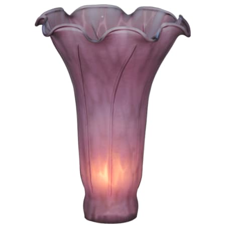 Meyda Tiffany Stained Glass / Tiffany Glass Shade N/A