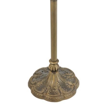 Alternate View