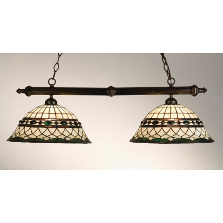 Meyda Tiffany Stained Glass / Tiffany Island / Billiard Fixture from the Roman Collection Green Mahogany Bronze