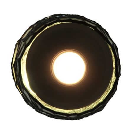 Alternate Image