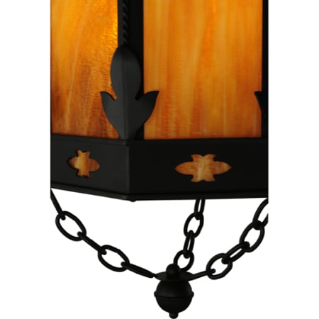 Alternate Image