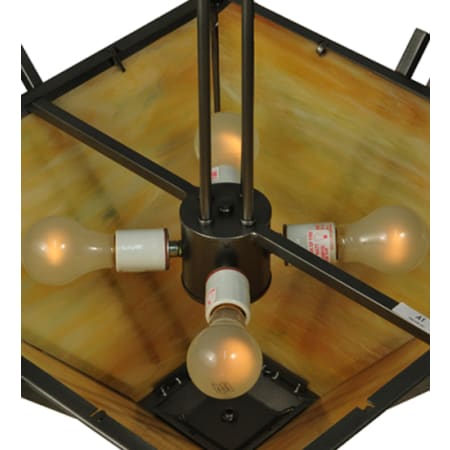 Alternate Image