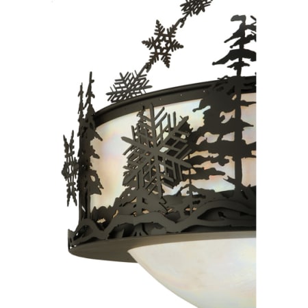 Alternate Image
