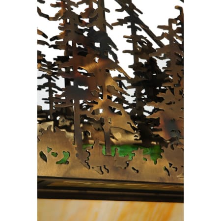 Alternate Image