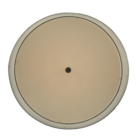 Alternate Image