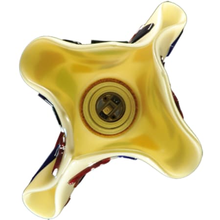 Alternate Image