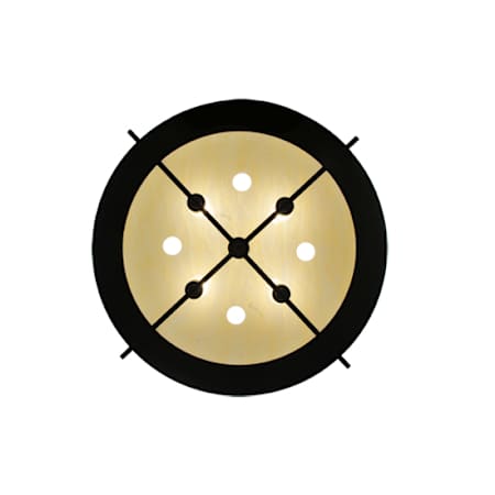 Alternate Image