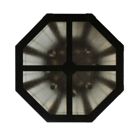 Alternate Image
