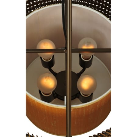 Alternate Image