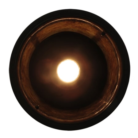 Alternate Image