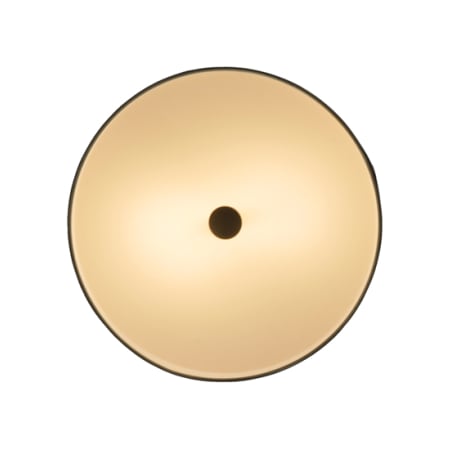 Alternate Image