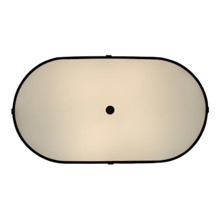Alternate Image