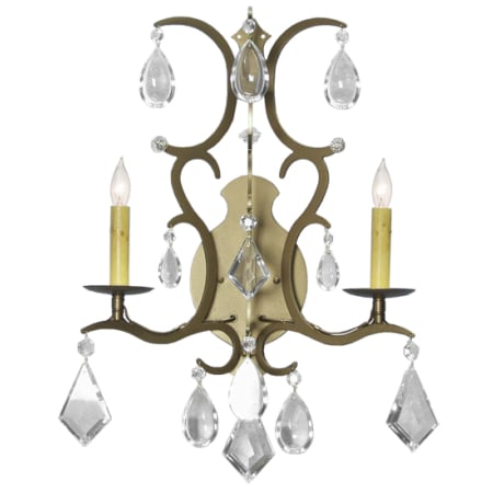 Meyda Tiffany Yolanda 2 Light 22" Tall Wall Sconce Black Hills Gold