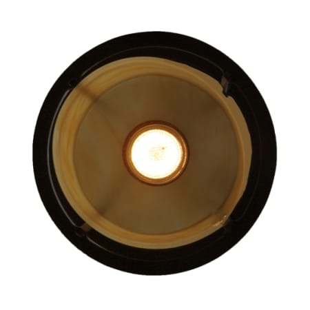 Alternate Image