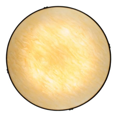 Alternate Image