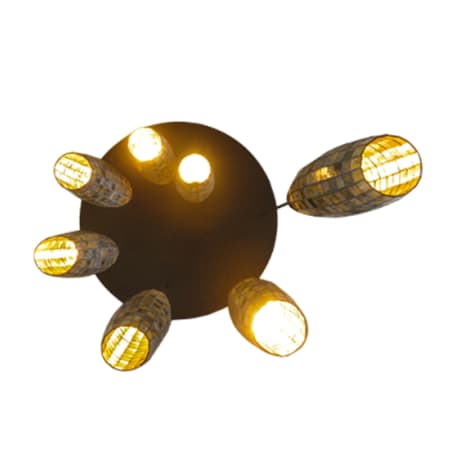 Alternate Image