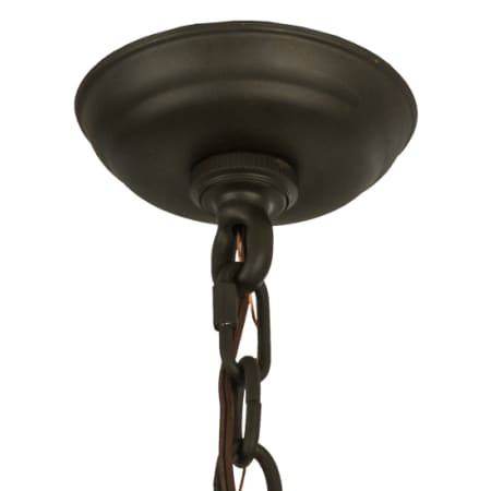Alternate Image