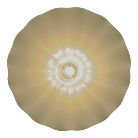 Alternate Image