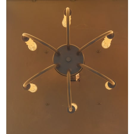Alternate Image