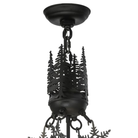 Alternate Image