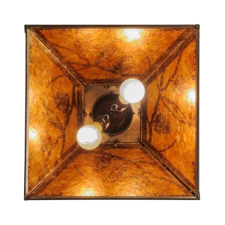 Alternate Image