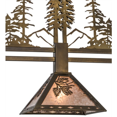 Alternate Image