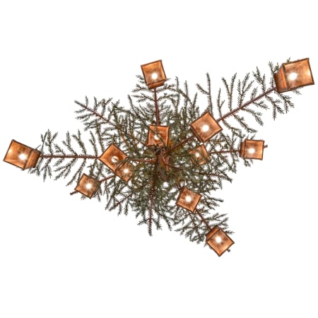 Alternate image