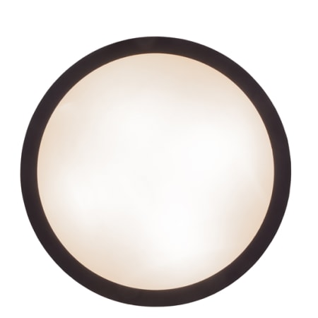 Alternate Image