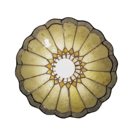 Alternate Image