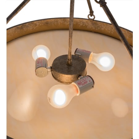 Alternate Image