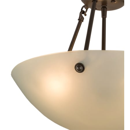 Alternate Image