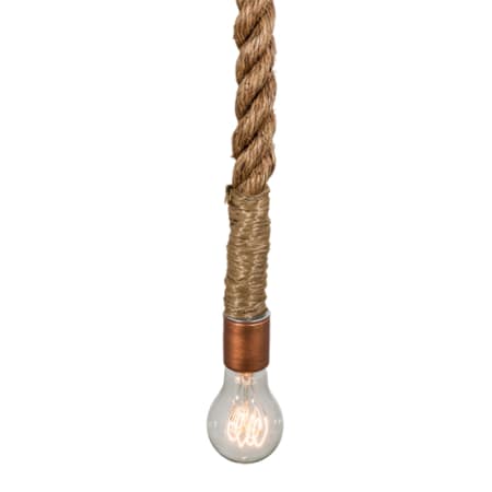 Alternate Image