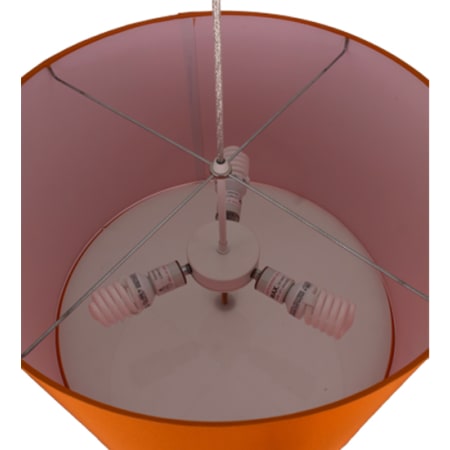 Alternate Image