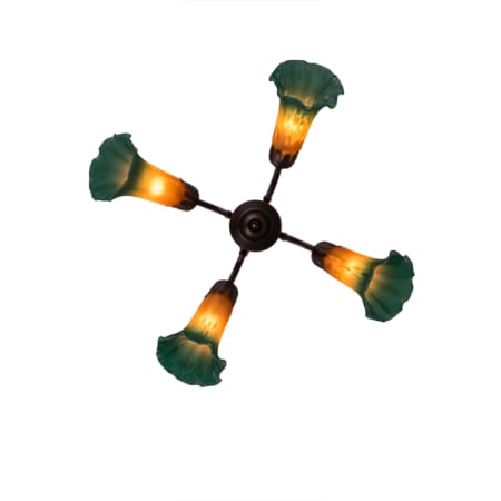 Alternate Image