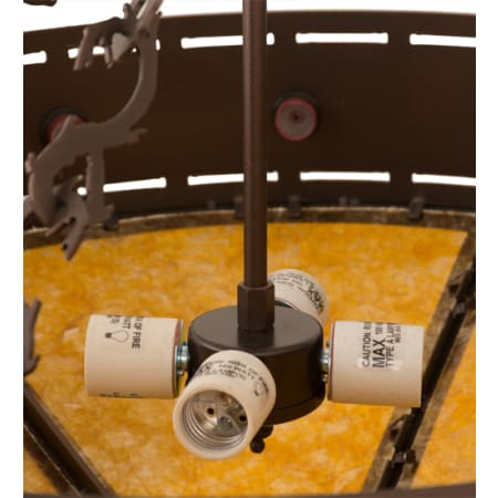 Alternate Image