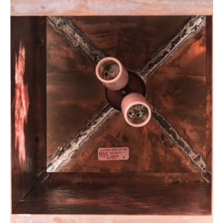 Alternate Image