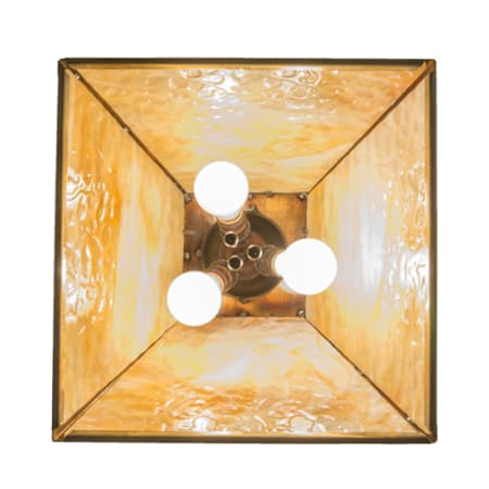 Alternate Image