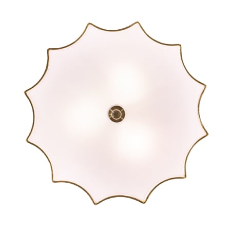 Alternate Image
