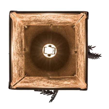 Alternate Image