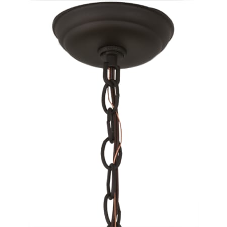 Alternate Image