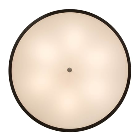 Alternate Image