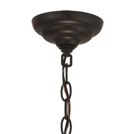 Alternate Image