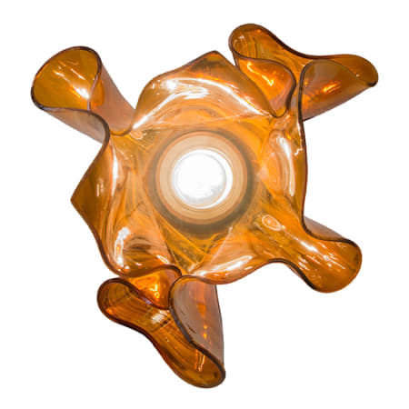 Alternate Image
