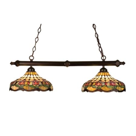 Meyda Tiffany Colonial 2 Light 37" Wide Linear Pendant Antique