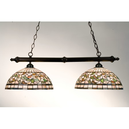 Meyda Tiffany Tiffany Turning Leaf 2 Light 39" Wide Linear Chandelier with Tiffany Glass Shade Mahogany Bronze
