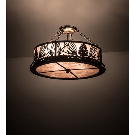 Alternate Image