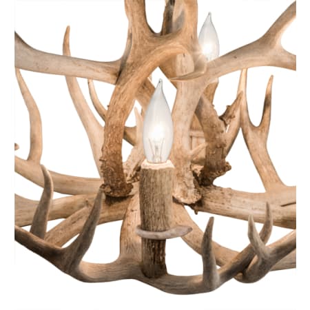 Alternate image