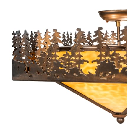 Alternate Image
