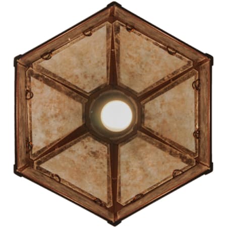 Alternate Image